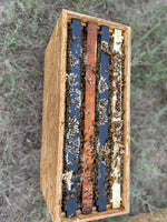 Load image into Gallery viewer, Spring-Made 4 Frame MN-Hardy Starter Colonies