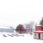 Load image into Gallery viewer, Spring-Made 4 Frame MN-Hardy Starter Colonies