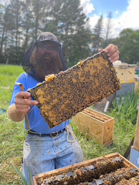 Bare Honey is a wholesome beekeeping business, located in Minnesota.